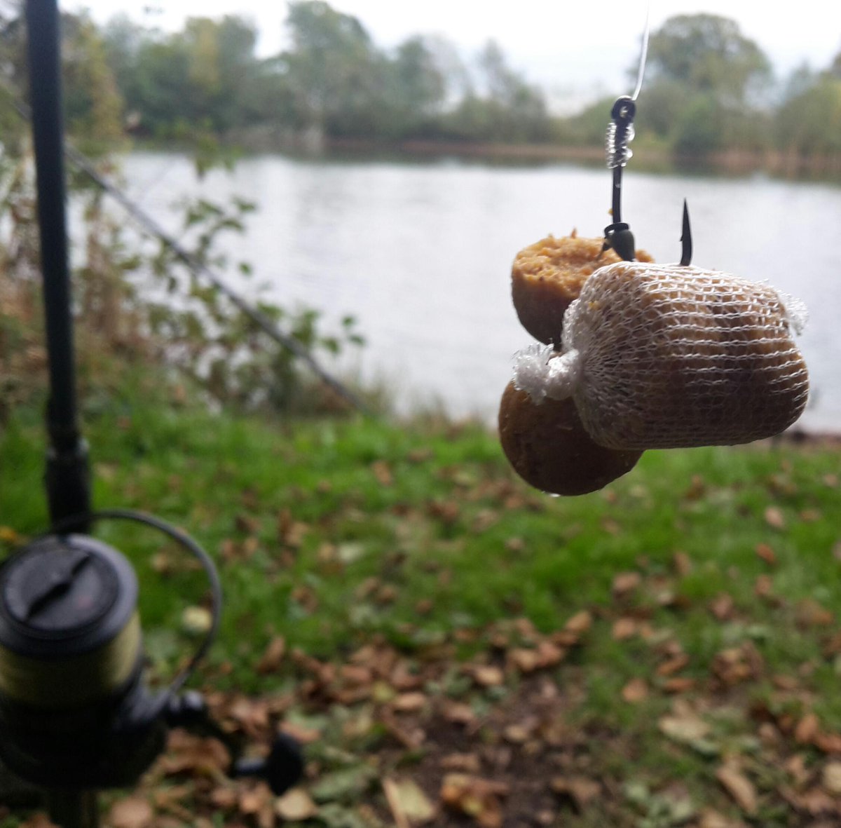 northernnev's tweet photo. MPT-1 on all three rods with half a kilo over each. #quickovernighter 🎣 https://t.co/hj425HM5Zi