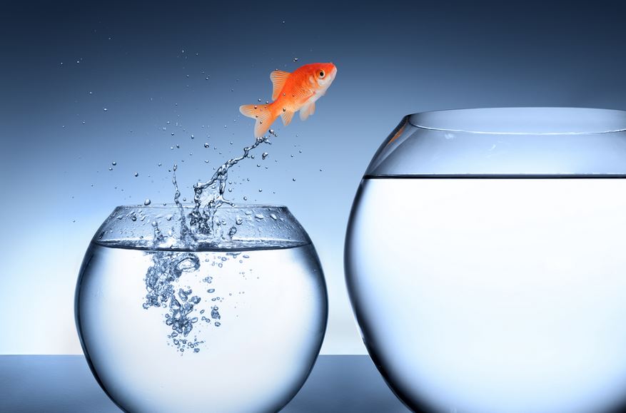 Randstad_es's tweet photo. Dicen que cuando realmente se quiere, cualquier momento se vuelve oportunidad ;) #FinDeSemana #RandstadMotivación https://t.co/YOGREikA0G