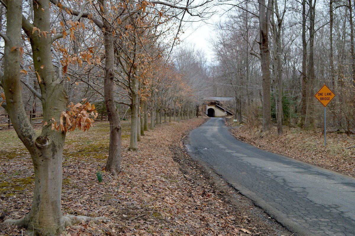 washingtonian's tweet image. The real story of the Fairfax Bunny Man is much weirder than the scary urban legend. bit.ly/1LrkQ2y