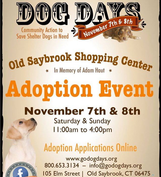 DogDaysAdoption's tweet image. Mark your calendars!!! Nov 7&amp;amp;8th #DogDays is back!!! #adopt @oldsaybrook