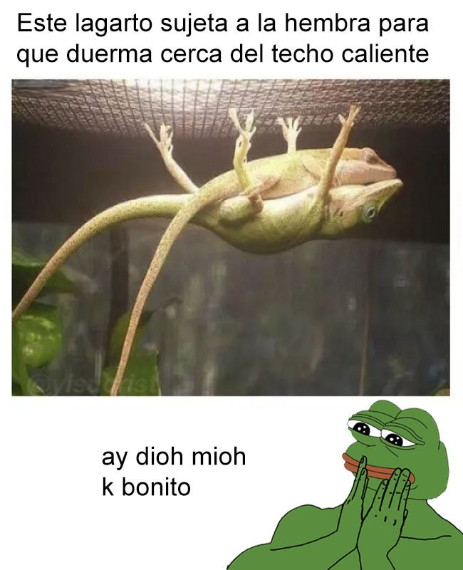yisucrist's tweet photo. me emosiono https://t.co/3jjzA0UuTa