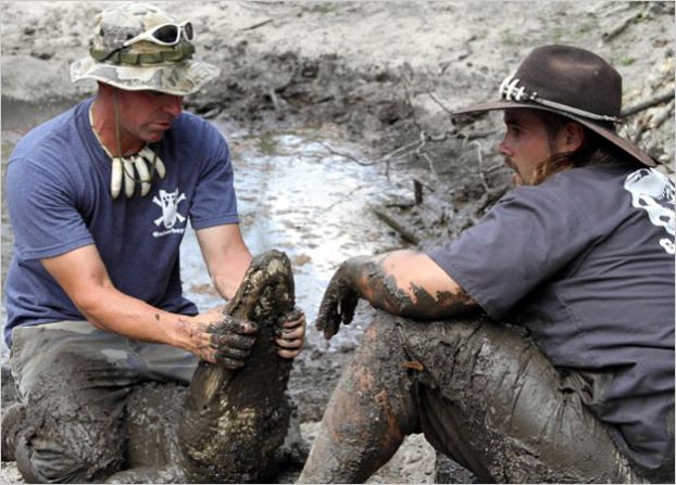 everglades's tweet image. Come meet the #GatorBoys in person! #hellosunny #visitflorida evergladesholidaypark.com