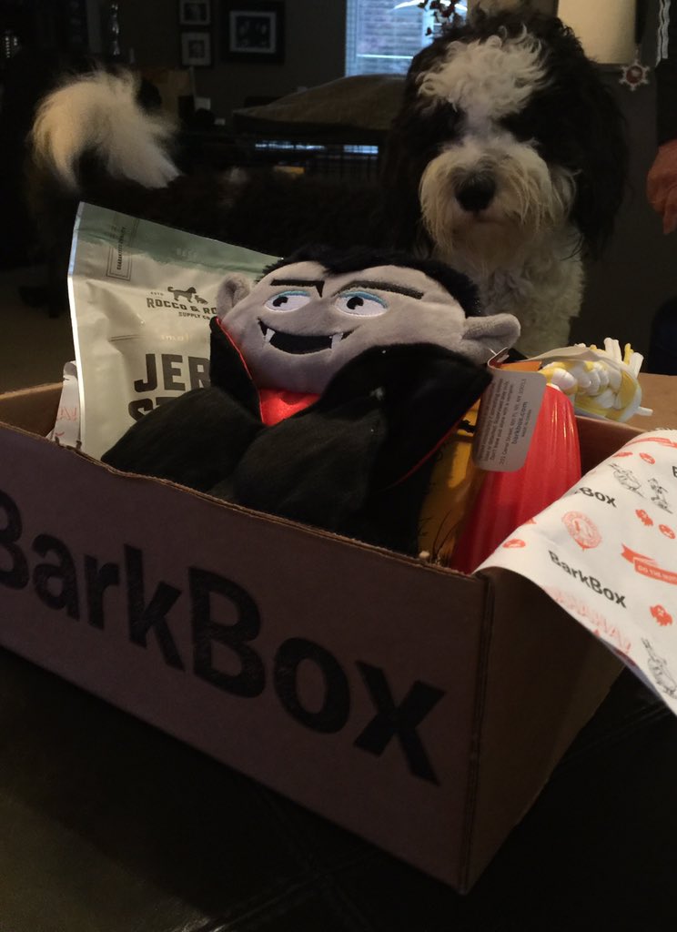 carlakovacs's tweet photo. @barkbox The Count didn't scare Bauer from his #octoberbarkbox on #barkboxday https://t.co/MDjOpt0gPI