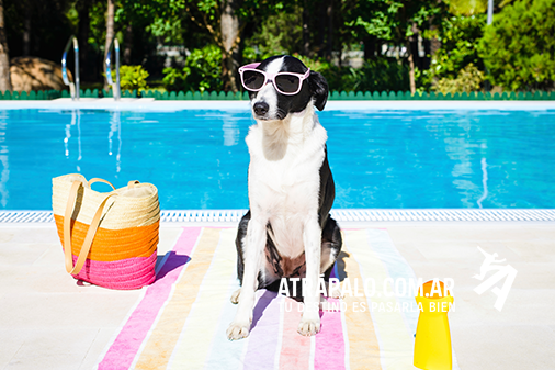 atrapaloar's tweet photo. ¡#NoMeDigasQue ya llega el verano! Así me voy preparando para la playa. #Fav y #rt si te gustaría estar así. https://t.co/sNEAg5IYyR