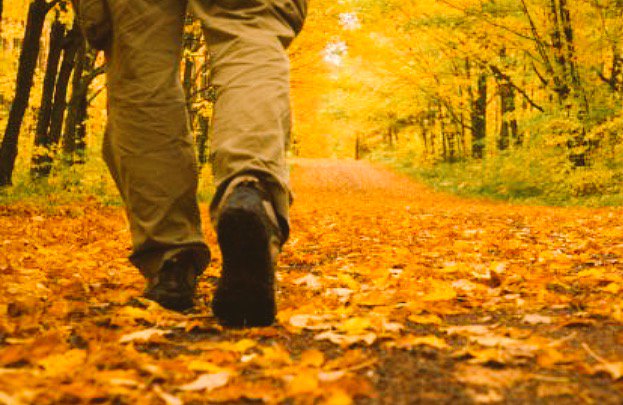 Alle Explo's een bijzonder goede Herfstvakantie gewenst!! Geniet van 't prachtige #herfst weer! <a href="/OBSBrandevoort/">OBS Brandevoort</a>