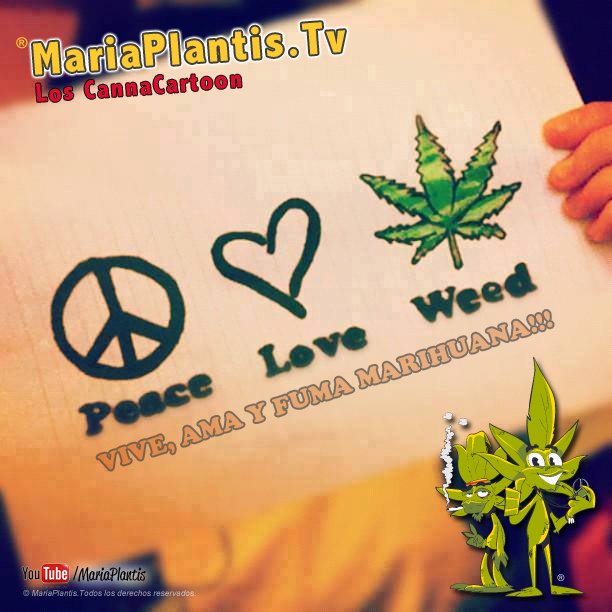 MariaPlantis's tweet photo. #RT VIVE, AMA Y FUMA #MARIHUANA!!! #MariaPlantis #legalizeit #yoplantomiplanta https://t.co/qSjoEw27Ko