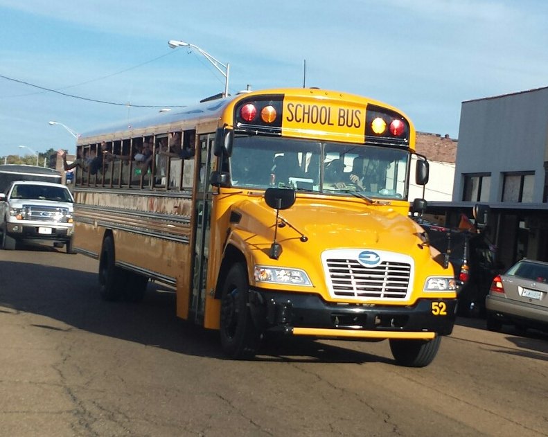 AmorySchools's tweet photo. LADY PANTHERS on the way to STATE!! #ladypanthersWIN https://t.co/0yRF6xKWN1