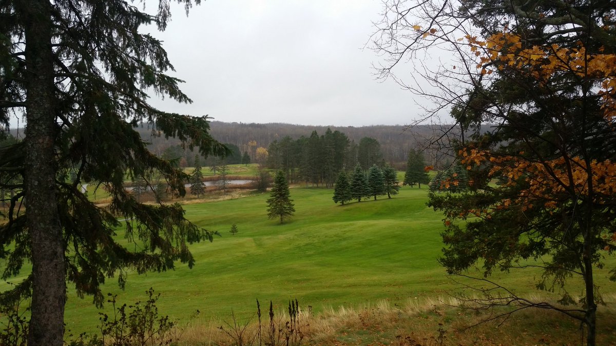 28CJohnson's tweet photo. #picaday196 All day rain in the forecast, great for the greens, notsomuch for golf. Food service takes a break today https://t.co/QKbr029V99