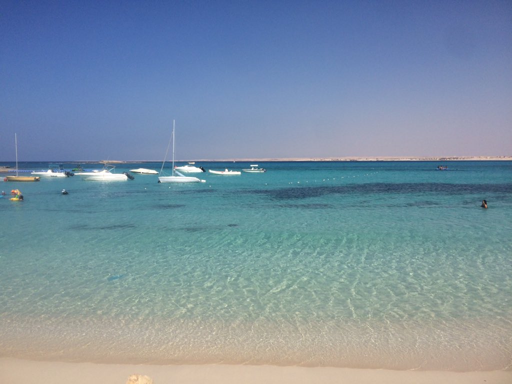 RaniaKeiy's tweet photo. #ThisIsEgypt #sidiheneish https://t.co/bIpv5YOurc