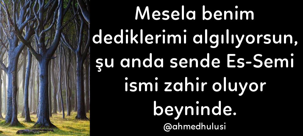 bir_in_seyri's tweet image. #Mesela benim dediklerimi algılıyorsun, #şuanda....
@ahmedhulusi