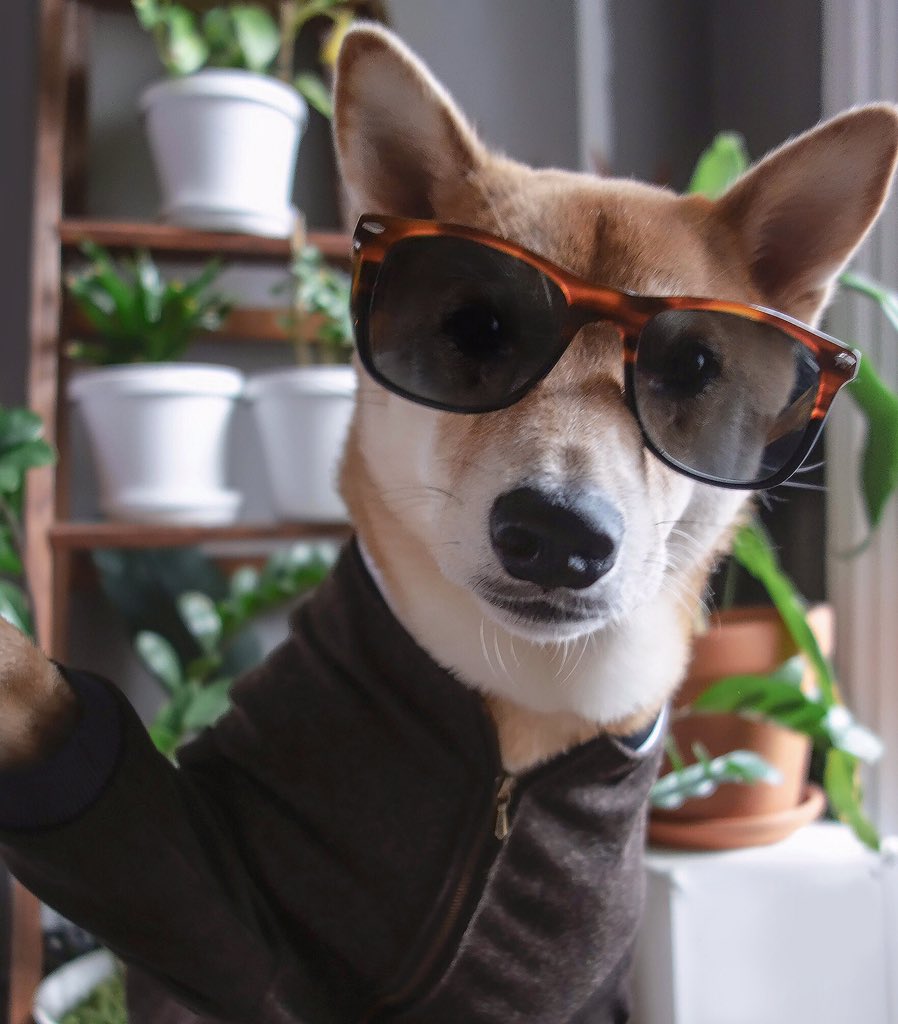 Mensweardog's tweet photo. When you finish the week off strong ✨ https://t.co/JdDEbKza4s