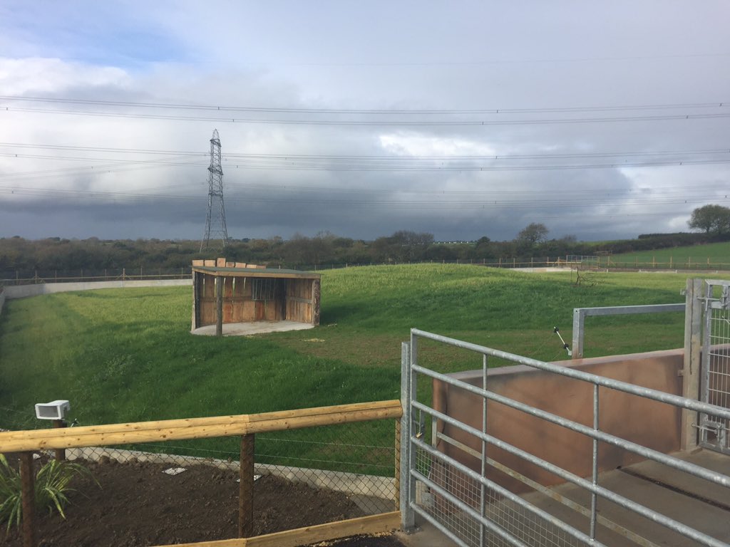 Great day <a href="/FollyFarmWales/">Folly Farm</a> helping launch its new Kifaru Reserve, home to 2 critically endangered black rhinos
