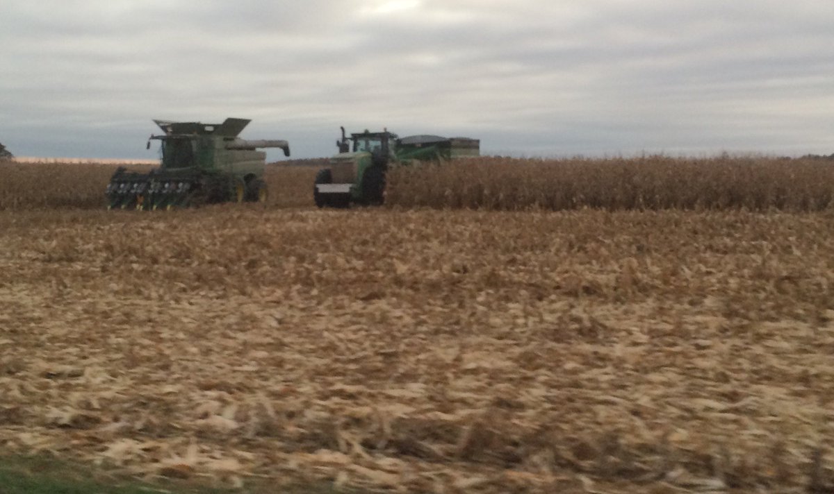 StoyFarms's tweet photo. Getting started on 325 W this morning! Thanks for the pic @BridgetMestoy https://t.co/fN25dVXJAG
