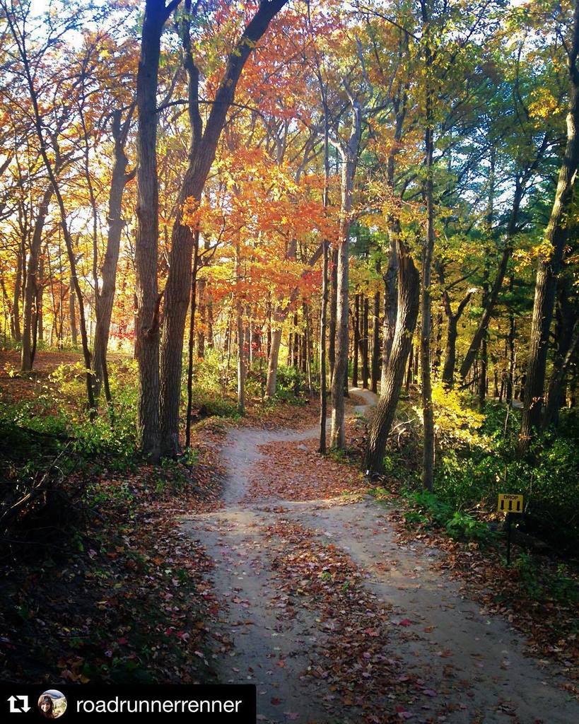 runtagit's tweet photo. Photo by @roadrunnerrenner I think I'll go this way. #fleetingfall #onlyinmn #trailporn #m… https://t.co/yzgaBVdOJq https://t.co/Ep3SvgdEvH