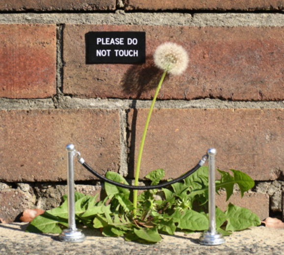 Le Mabilay tweet media