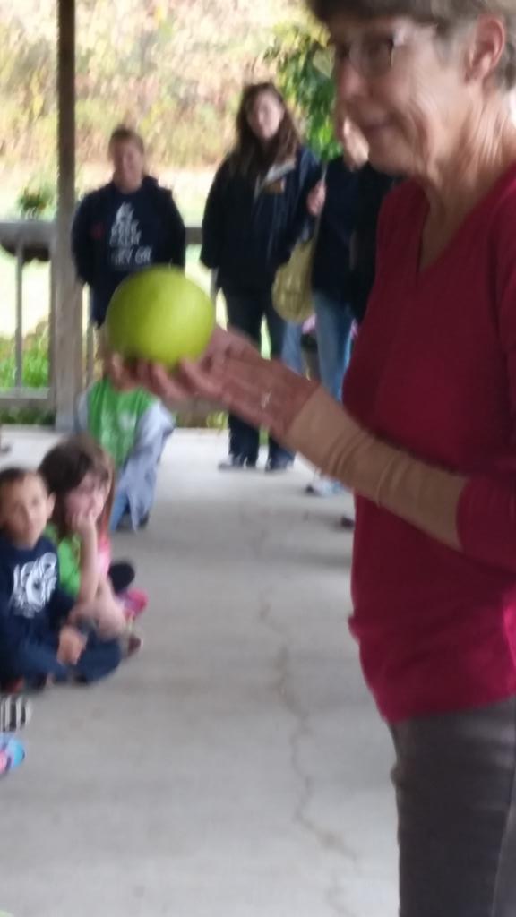 tmillerTopDogs's tweet photo. 1 pound Mutsu green apple.  How big can an apple grow?  #sunshinevalleyfarms @DHElementary https://t.co/dc9mpWWA7a