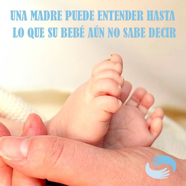 ElEmbarazo tweet picture