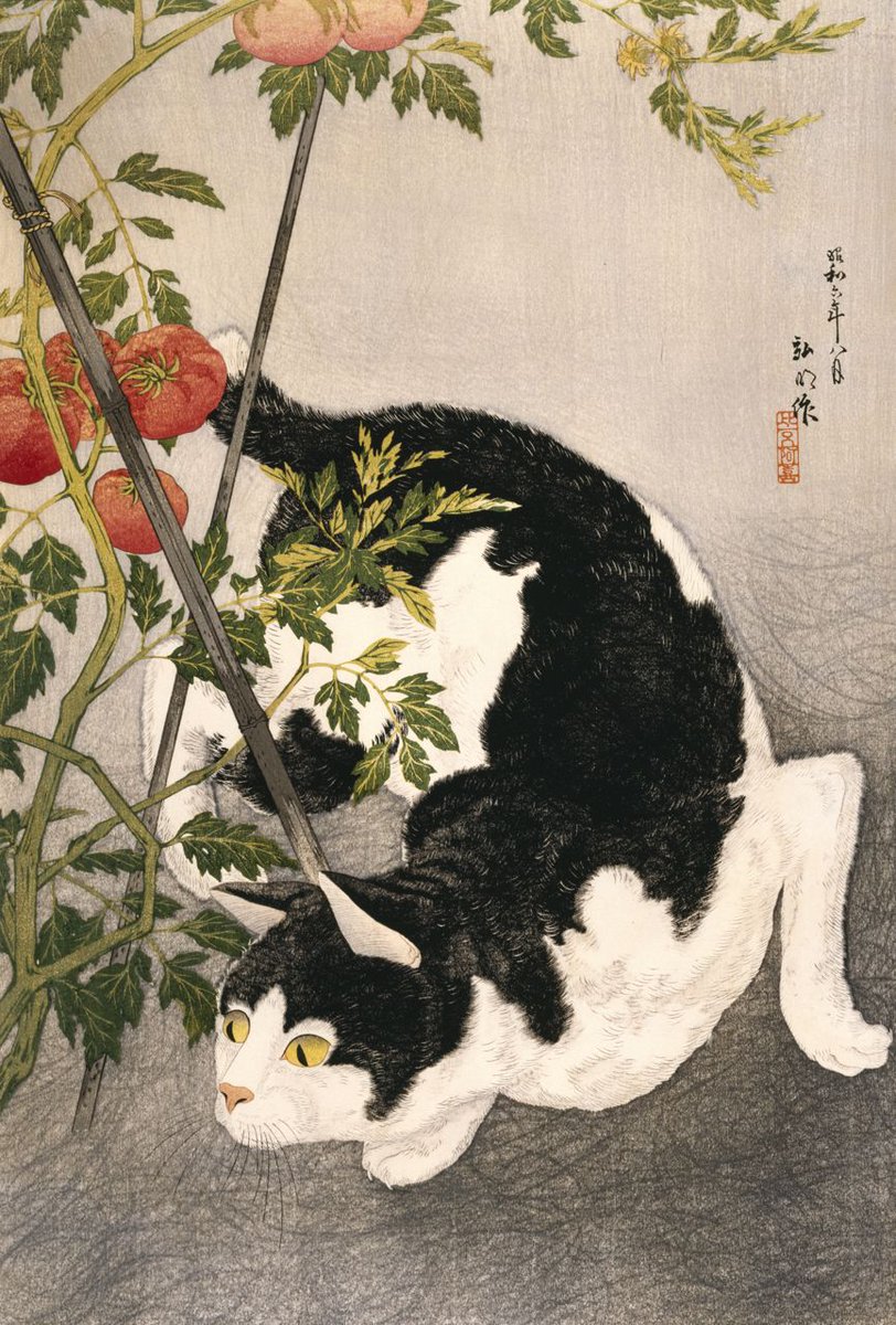 operationcatnip's tweet image. Centuries Before Memes, There Were The LOLCats Of Japanese Woodprints buff.ly/1QPEkiQ
#cats #operationcatnip