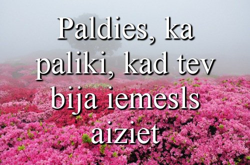 zelteneLV's tweet photo. Paldies, ka paliki... https://t.co/6aYFOCUALe