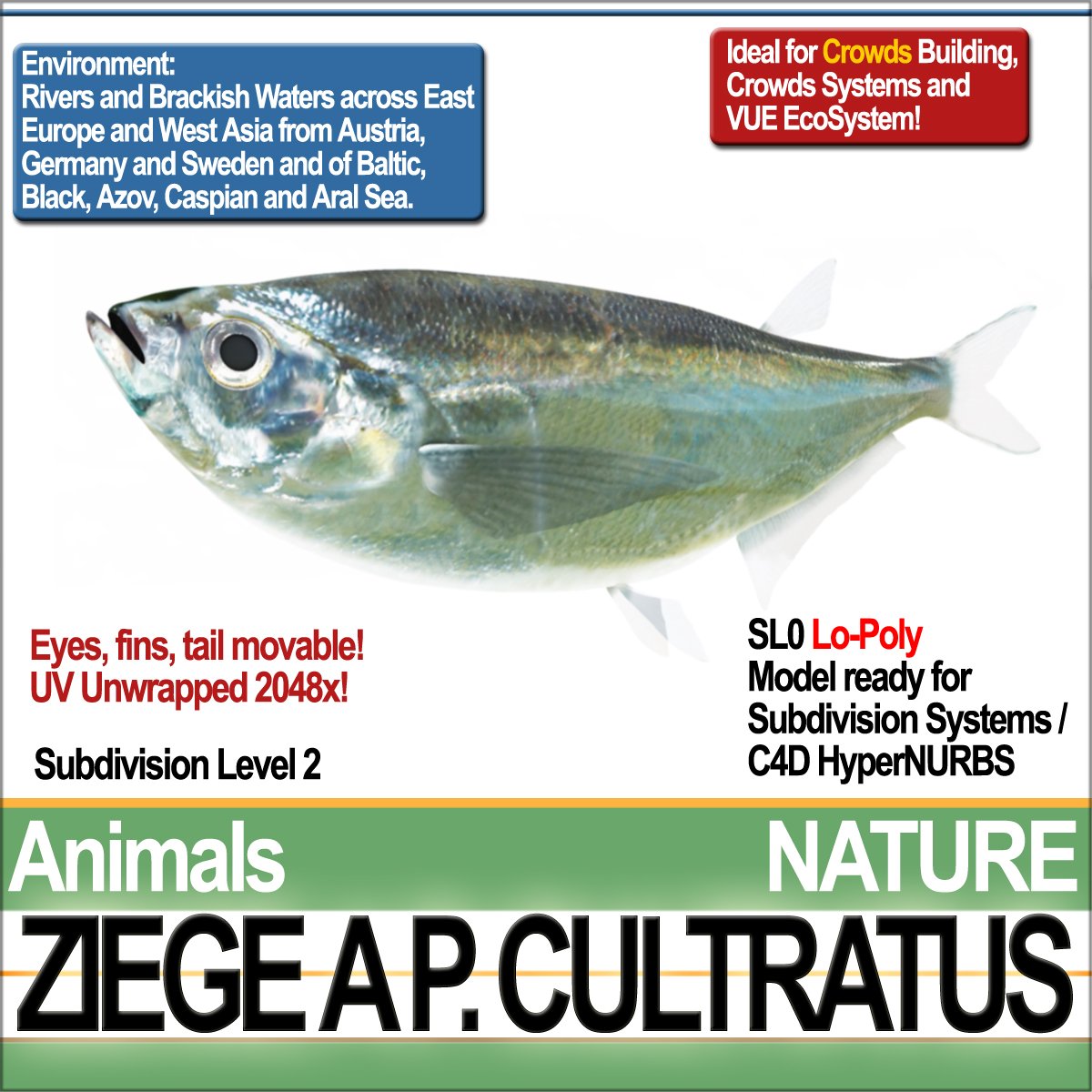 SmartCgArtCGT's tweet photo. New SmartCgArt Product #3DModels: #NatureModels Ziege A Fish for Crowds Building! https://t.co/KCWswy7huM https://t.co/I8oJCJXLCb