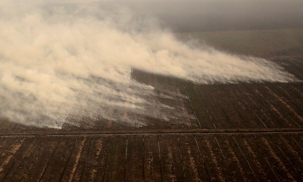 lrallen's tweet photo. Emissions from smoke smothering SE Asia have surpassed those of US economy &amp;we're implicated https://t.co/XEwNBLJodN https://t.co/9RlLbTYejr