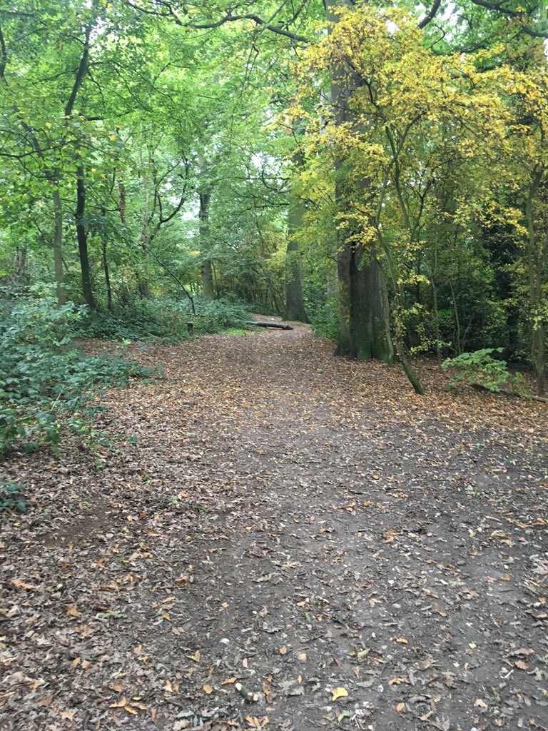 EnisLIOGLU's tweet photo. #countryside walk is all I need on a Friday afternoon. https://t.co/YbHNvkwk0n