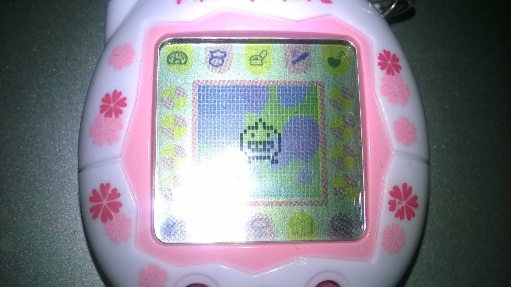 [Obrazek: CSAynCFWoAAdTQ7.jpg]