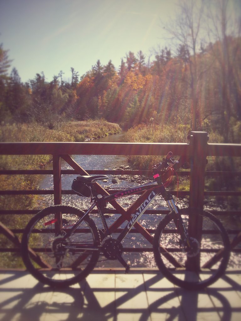 only1phoenixx's tweet photo. #Getoutthere and go for a ride #Vaughan! It's not too late to enjoy the #fallcolours :-) #OakleyActive https://t.co/uvgJPiZmnJ