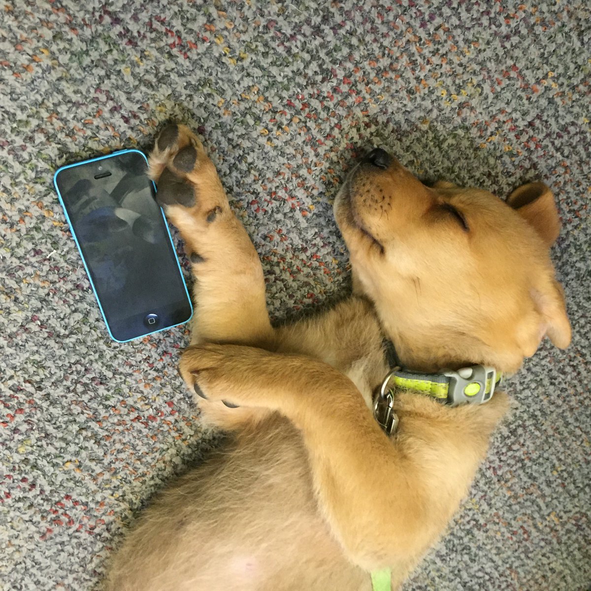 Kik's tweet photo. Falling asleep mid text like https://t.co/WtR4tE9x59