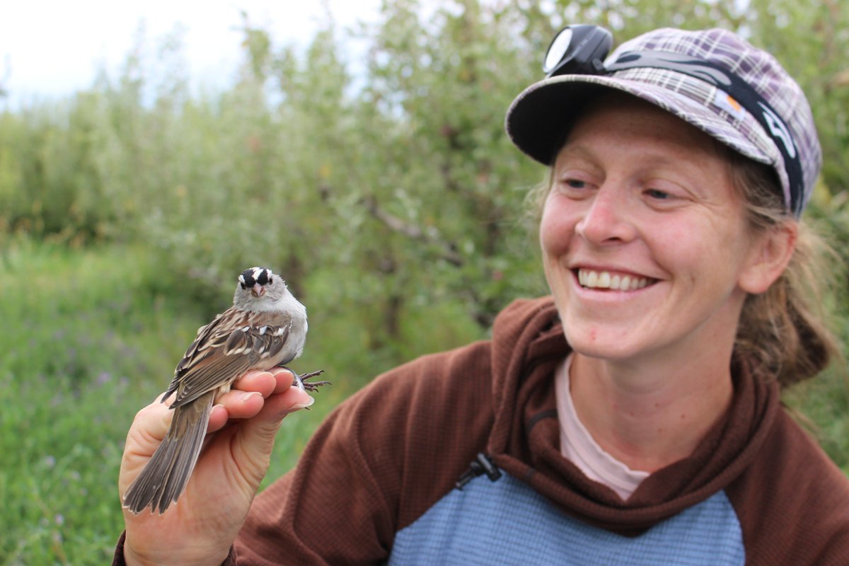 collab2conserve's tweet photo. #FellowsPhotoFriday "The best part of the day is catching and releasing beautiful birds like this..." Ph:Cooper Farr https://t.co/CVgEz2wmWd