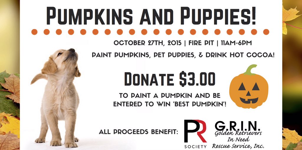 rmuprsociety's tweet photo. Only a few days until Pumpkins and Puppies... who's coming!? #RMUPR https://t.co/TPBuiPlFkk