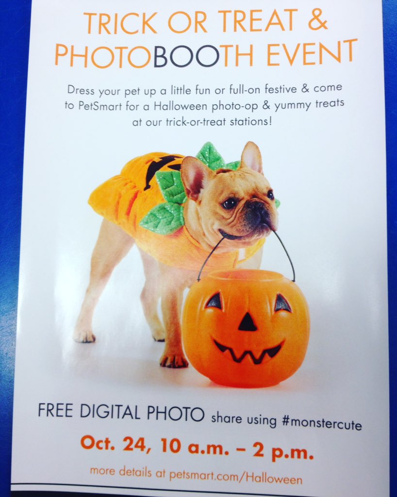 petsmart1963 tweet media