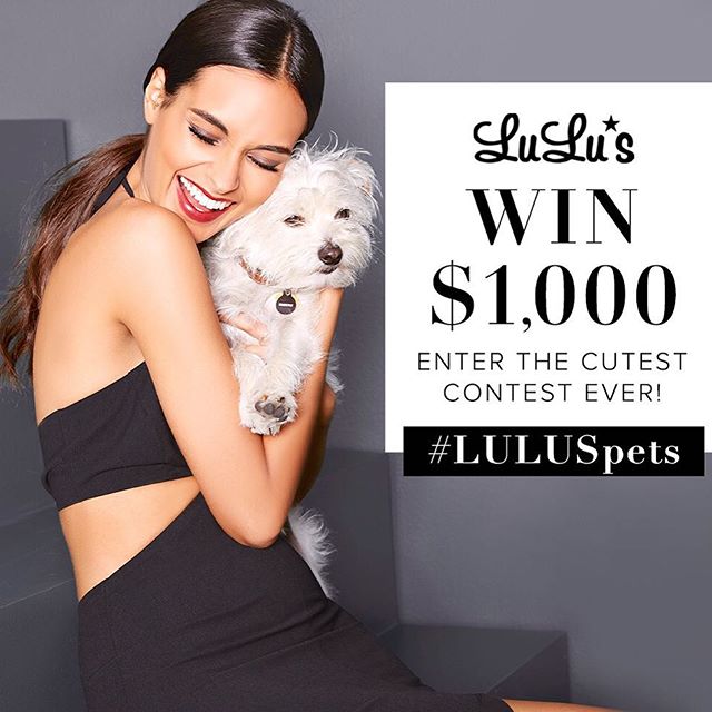 lulusdotcom's tweet photo. CONTEST ENDS TONIGHT! Don't miss your chance to win $1000 to LuLu*s! #LULUSpets Details: https://t.co/UVocvjCrKk https://t.co/3rjNxjQwWg