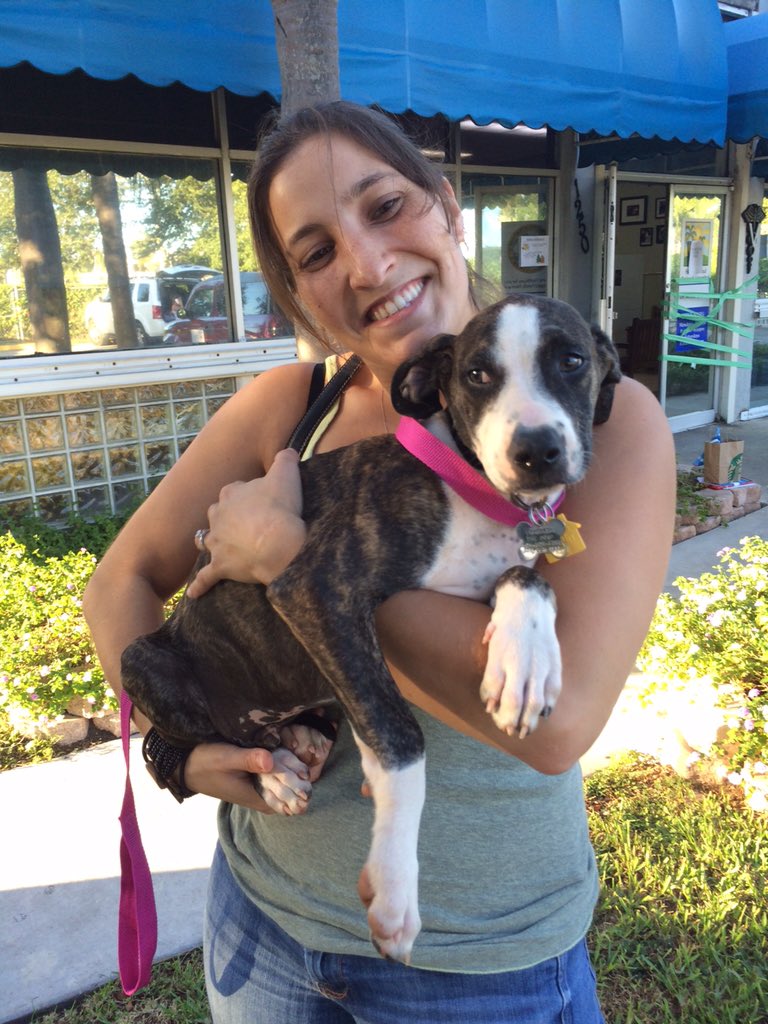 thisisthedogFL's tweet photo. Adoption news! Wag your tails for marvelous Marsh who was adopted Thursday evening. Woof woof! https://t.co/PMpYi3LskY