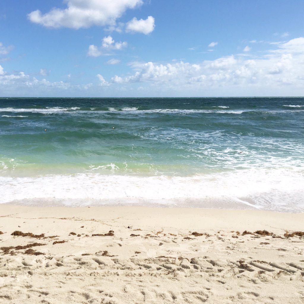 JessBakerEllis's tweet photo. I may be wearing a blazer and dress pants, but I finally made it down to see the beach! #saprf15 #miamibeach https://t.co/aPIOgiaf4o
