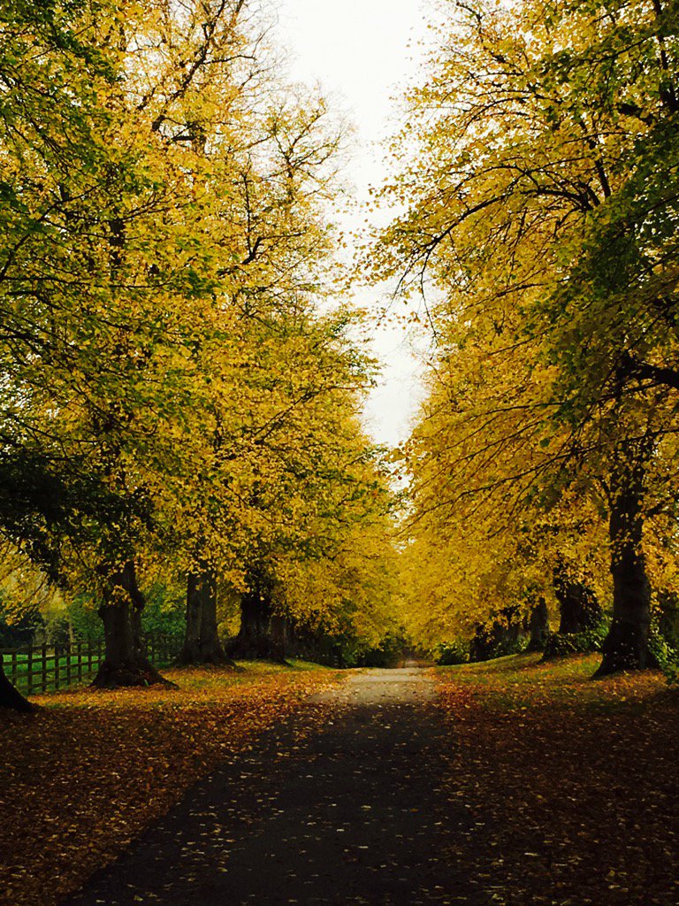 CirencesterPolo's tweet photo. 2016 Magazine Photo Shoot recce today #2016Magazine #beautifulciren #autumnleaves #winterscoming https://t.co/aOOFhlAgFY