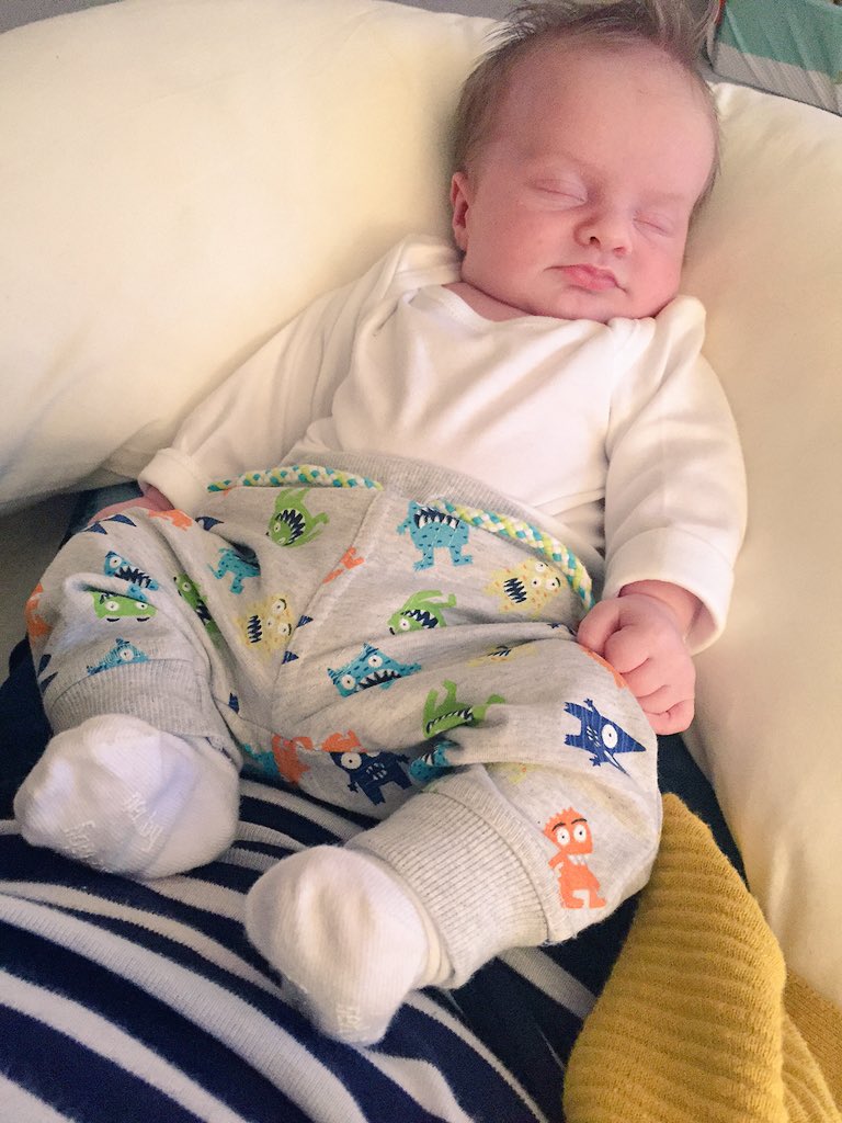 georgierosekay's tweet photo. Snoozer #MonkeyMoo https://t.co/MU1MT4jTKj