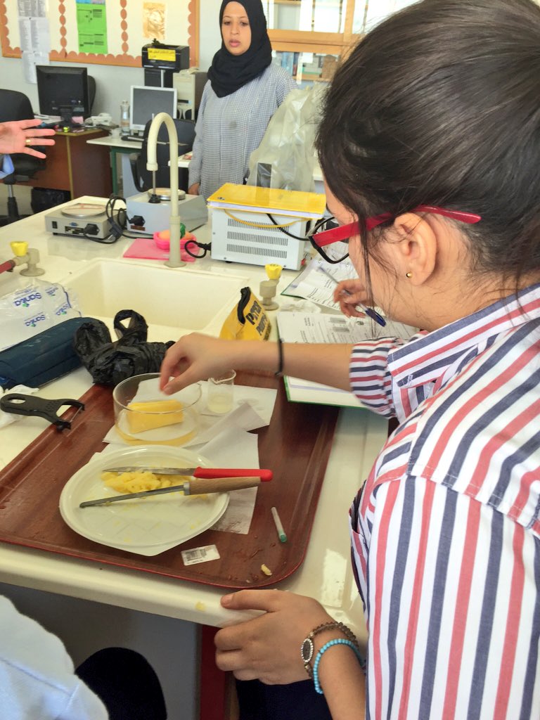 RoweidaB's tweet image. Potatoes acting as models for osmosis #CellModel 🍟 @Hhhsinfo