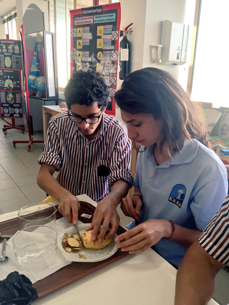 RoweidaB's tweet image. Potatoes acting as models for osmosis #CellModel 🍟 @Hhhsinfo