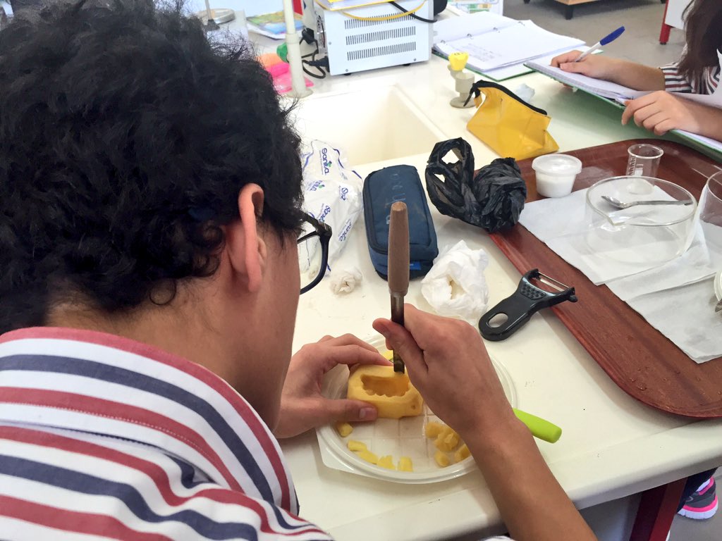 RoweidaB's tweet image. Potatoes acting as models for osmosis #CellModel 🍟 @Hhhsinfo