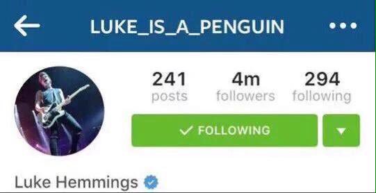 perfectIyyouth's tweet photo. Let the hunting begin #LukeIsNotAPenguin #LUKEISAPENGUIN https://t.co/CbmJsTFt1k