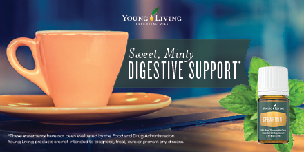 youngliving's tweet photo. Add a couple drops each of Spearmint and Peppermint essential oils to a mug of hot water. #YLtip https://t.co/TisnsgIboZ