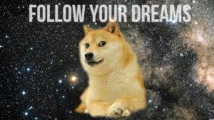 DogeTheDog's tweet photo. Wow
         Such true
   So saying
      Much inspiration
              Very motivate https://t.co/IBQTEnUfML