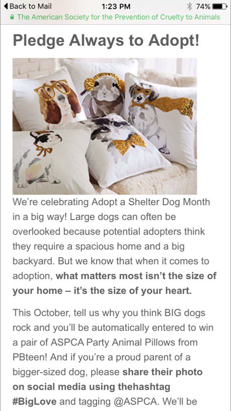 paige989's tweet image. October is #AdoptShelterDog month! Take the pledge to #AlwaysAdopt &amp;amp; #NeverShop. Healthy dogs die to make room