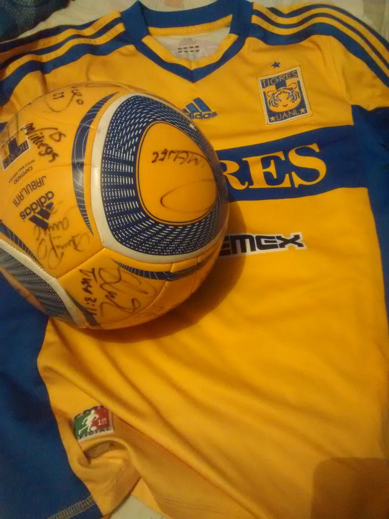 Club Tigres Oficial 🐯 no Twitter: \
