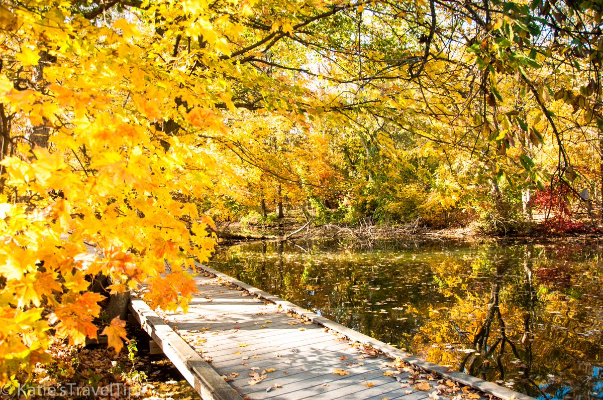 KatieTravelTips's tweet photo. Spent a beautiful fall day hiking at the Cincinnati Nature Center! https://t.co/Y43oIpTHsn https://t.co/cRpA9NsFLW