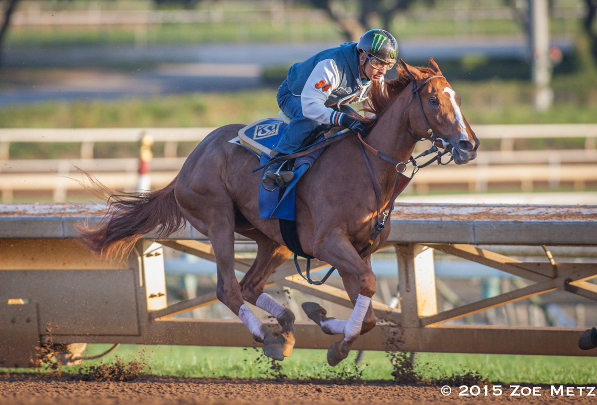 1st_racing's tweet image. Stellar Wind working with @EspinozasVictor up #BCDistaff