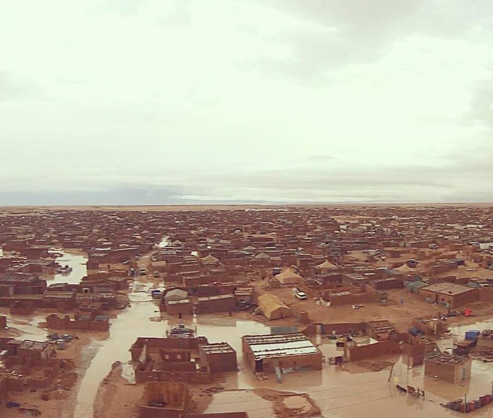 Anonymous_Link's tweet photo. #EmergenciaSahara Los refugiados saharauis han sufrido 5 días de inundaciones, campamentos y casas están devastados. https://t.co/1GzMyxbMmL