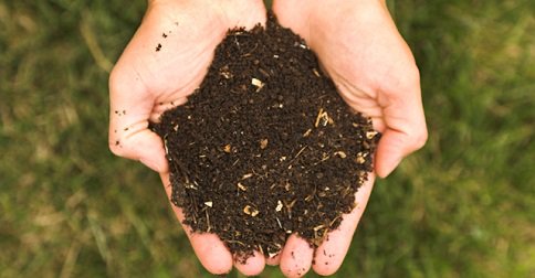 5 Easy Steps to Helping Your Soil’s #BeneficialFungi: homeandgardenamerica.com/beneficial-fun…