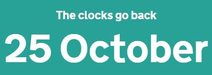 Verdo Cat Litter tweet media